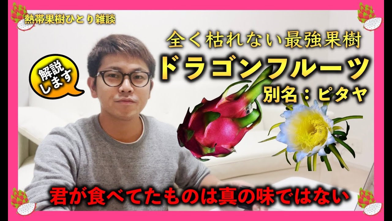 絶対枯れない最強果樹「ドラゴンフルーツ」を育ててみよう！真の味が