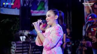 NYESS ROMANCE - TONIGHT - EVA AQUILA - ALAN & SANIA WEDDING - MULYOHARJO JEPARA