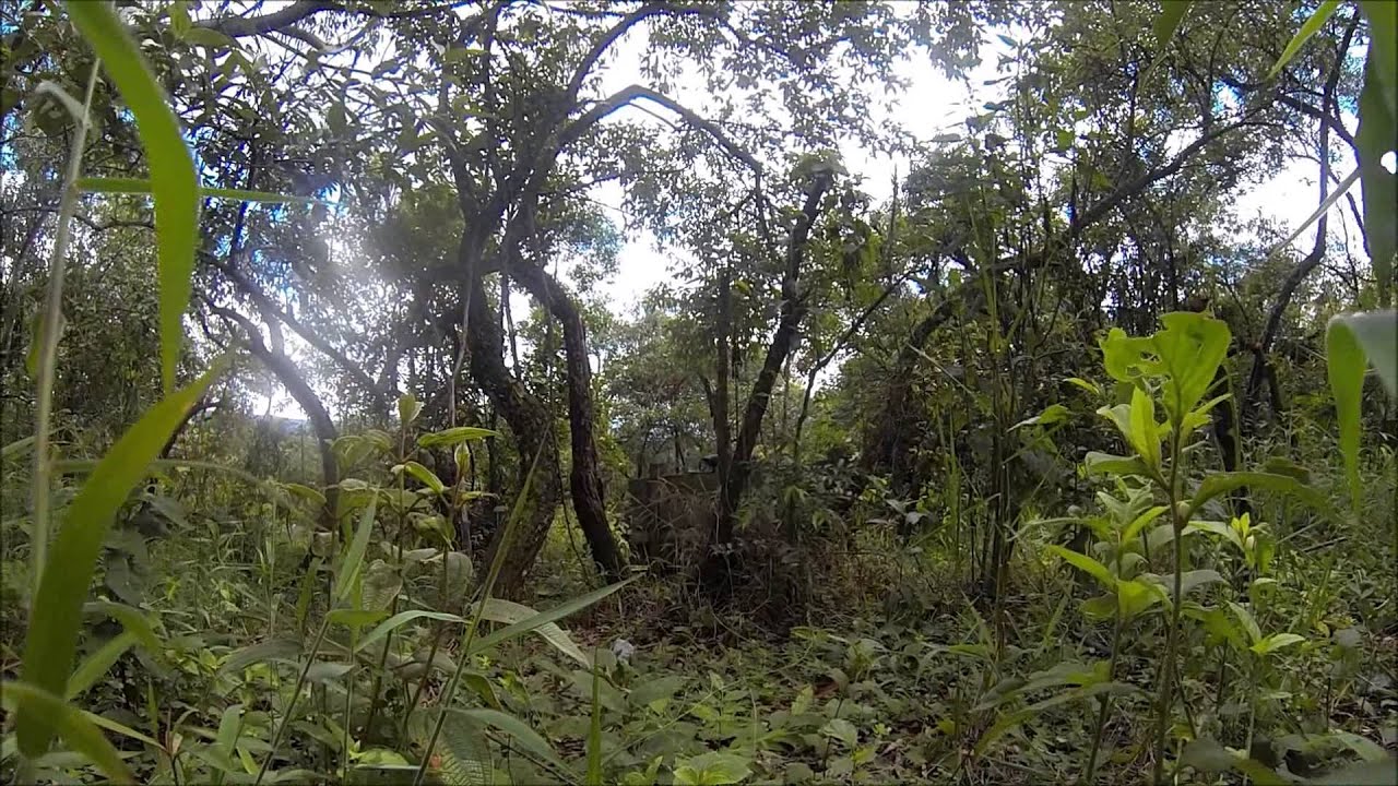 Paintball @ Wargames - São Paulo
