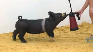 Full ABF | 9-8-26 | XG 226-6 News