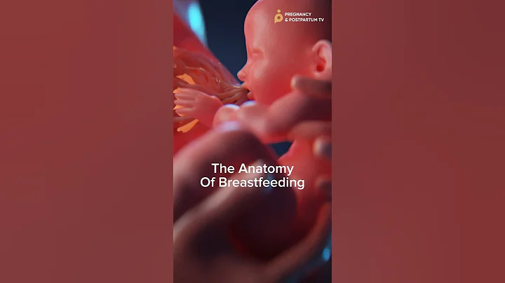 The 🤯 Anatomy of Breastfeeding ✨Bodies are AMAZING✨ - DayDayNews