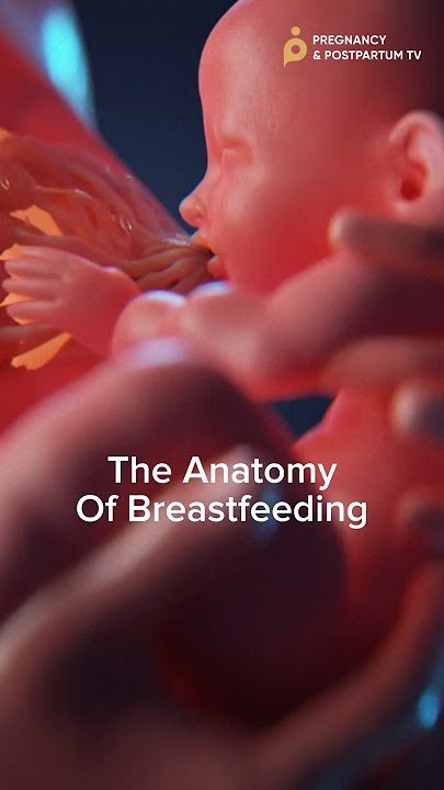 The 🤯 Anatomy of Breastfeeding ✨Bodies are AMAZING✨