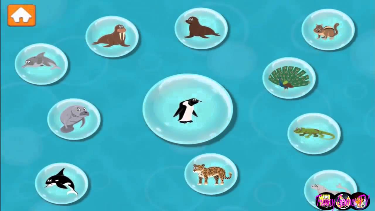 Bubble Guppies Animal School Day Day 1 Full 2014 YouTube