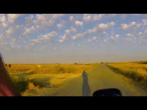 APEMAN A100 SALIDA