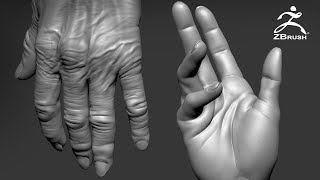 Sculpting Hands in Zbrush