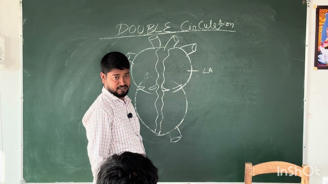 DOUBLE CIRCULATION class X Biology important Question For 2026