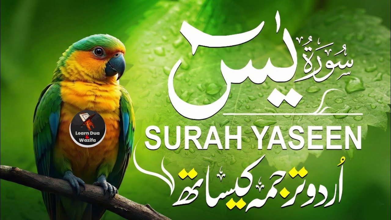 Surah Yasin Full - Heart Touching Beautiful Voice  | With Urdu Hindi Translation | سورة يس 