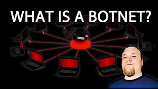 What is a botnet