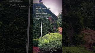 Вроде деревня, а до города 10 минут — Америка удивляет каждый день 😊