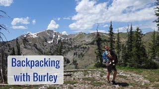 Life in a Tiny House called Fy Nyth - Backpacking with Burley