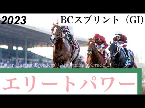 【中古】 競馬「３連単」ゴールドラッシュ さらにパワーアップした新馬券戦術のミハルミ「トライ/ベストブック/ミハルミ 中古】 競馬「3連単」ゴールドラッシュ さらにパワーアップした