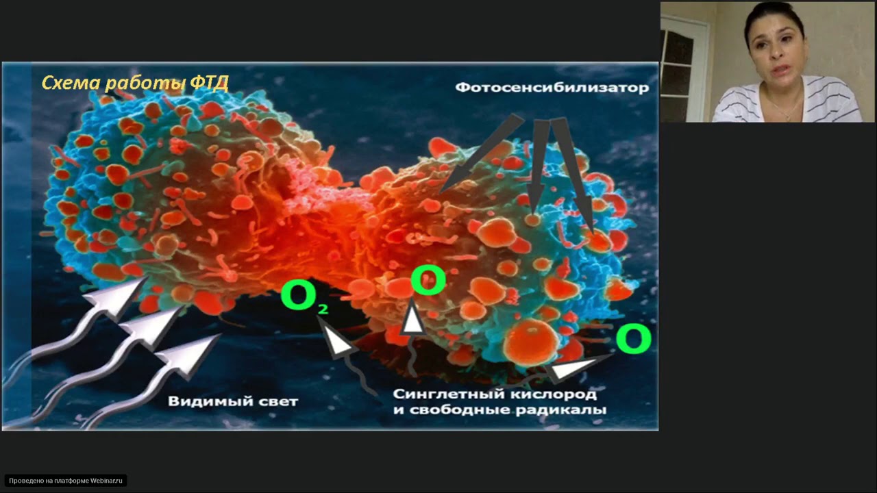 Фотодинамическая терапия Фотосенсибилизаторы - YouTube