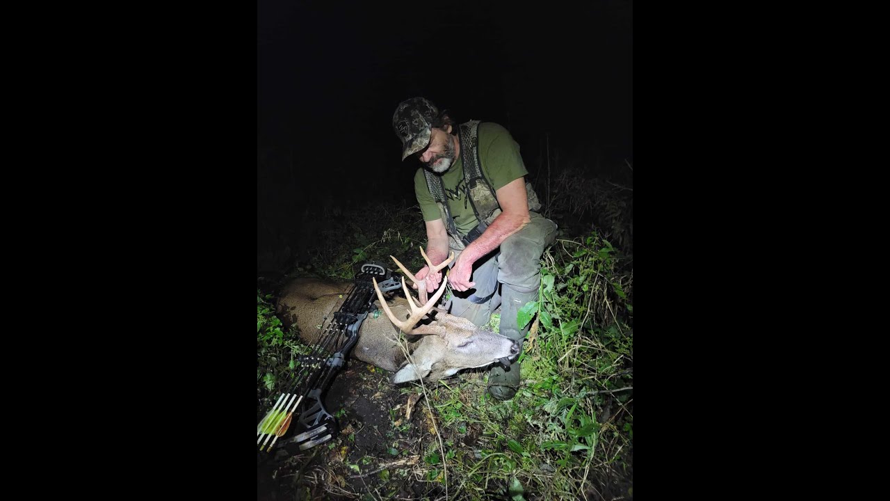 СКРЫТЫЙ КОНВЕРТИБУЛ БАКС