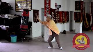 Maau-jai-san (矛仔新) – Basic Techniques (Wooden Dummy and Punching Bag) of Dragon Style Kung Fu screenshot 3