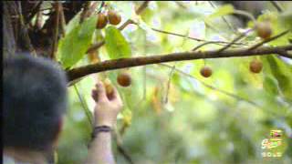 Download lagu GlobalTv Gudang Garam Gold 22 19