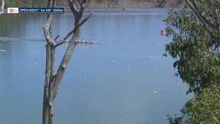 BSRA '1st VIII' Head of the River 2020