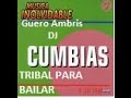 Tribal mix solo para bailar