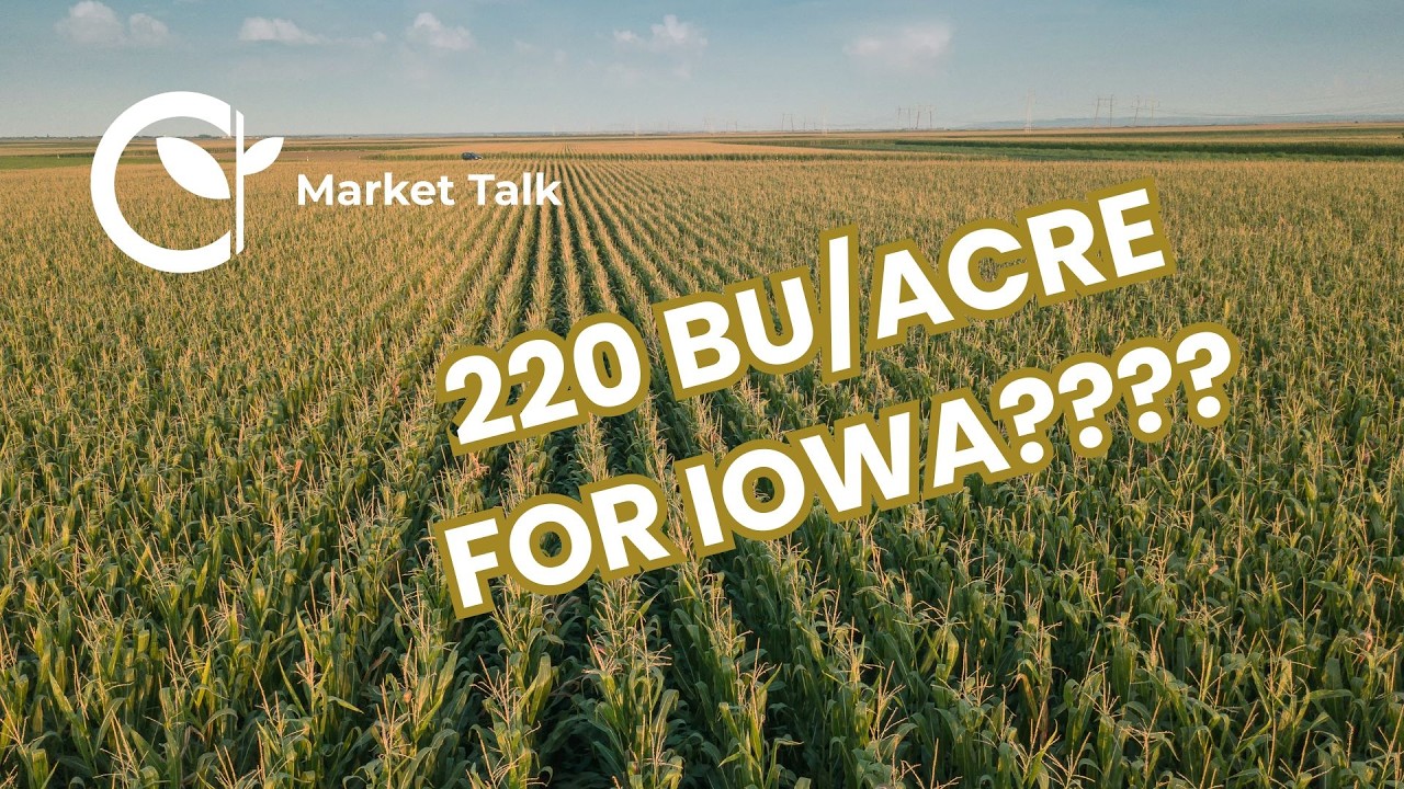 A Monster Corn Yield for Iowa On the Way?