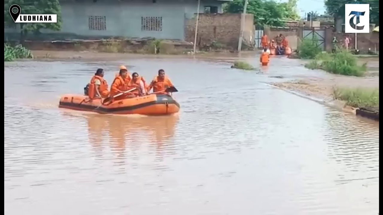 the tribune philippines Ludhiana: NDRF team carrying out rescue operation at Kadim village
