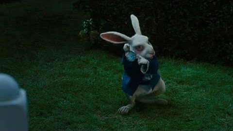 White rabbit pointing at clock (original)