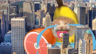 BANANA CAT 🍌🐱 BABY BAD LUCK 😿 VIDEOS 56 ( 2 MINUTES )