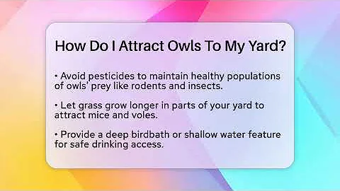 How Do I Attract Owls To My Yard? - Bird Watching Diaries