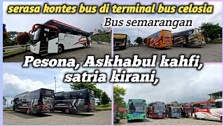 Serasa Kontes Bus Bus Asli Kota Semarang & Pesona, Askhabul Kahfi Bareng\