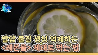 발암 물질 생성 억제하는 ＜레몬물＞ 제대로 먹는 법 MBN 211119 방송