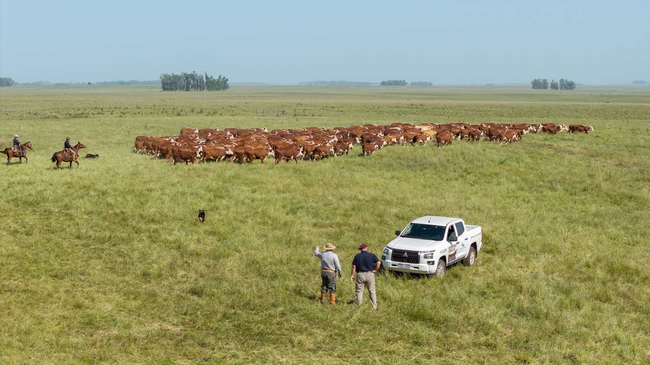 ESTANCIA LARRAECHEA EN ACCIÓN
