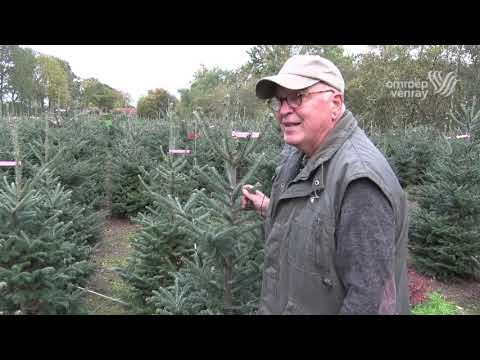 Video: Een Geest Verstopte Zich Achter Een Kerstboom - Alternatieve Mening