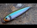 Making a "Walk the Dog" Bass Lure