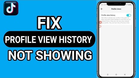 How to Fix Tiktok Profile View Option Not Showing| Tiktok Profile View Problem 2025