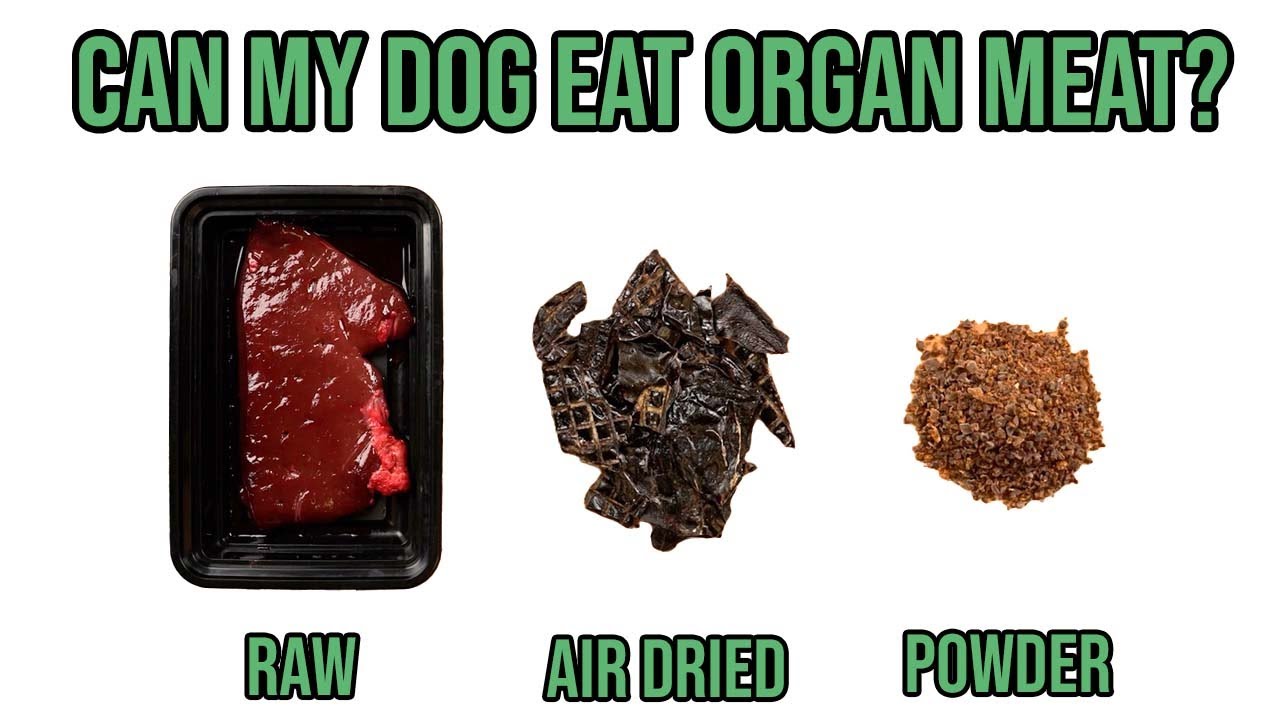 is organ meat good for dogs