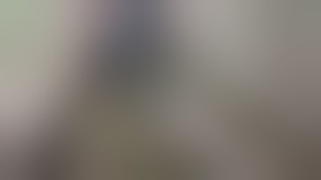 International Volunteers In Ukraine Walk Into Ambush. No Fatalities On Video