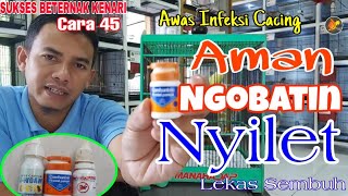 | TERNAK KENARI RUMAHAN || Cara 45: Tips Aman Mengobati Kenari Nyilet || Teratur pakai obat Cacing |