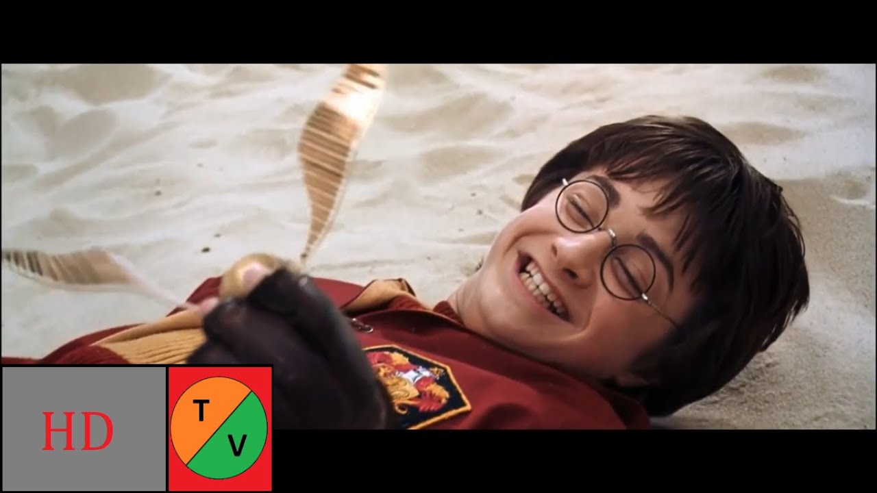 Quidditch -Harry Potter and the Chamber of Secrets