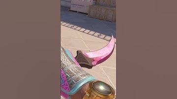 NEW CS2 UPDATE BROKE DOPPLERS...