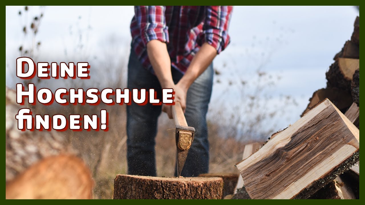 Wo kann ich Forstwirtschaft studieren?