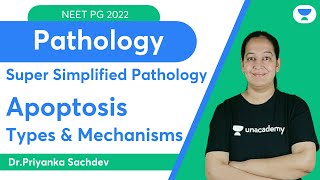 Super simplified Pathology | Apoptosis | Dr. Priyanka Sachdev