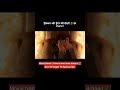 subscribe #dragon #movie #youtubeshorts #youtube #video