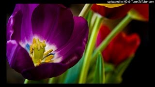 Monica Lupsa - Sa Nu Ajung Saraca Lipit live Veche uzivo