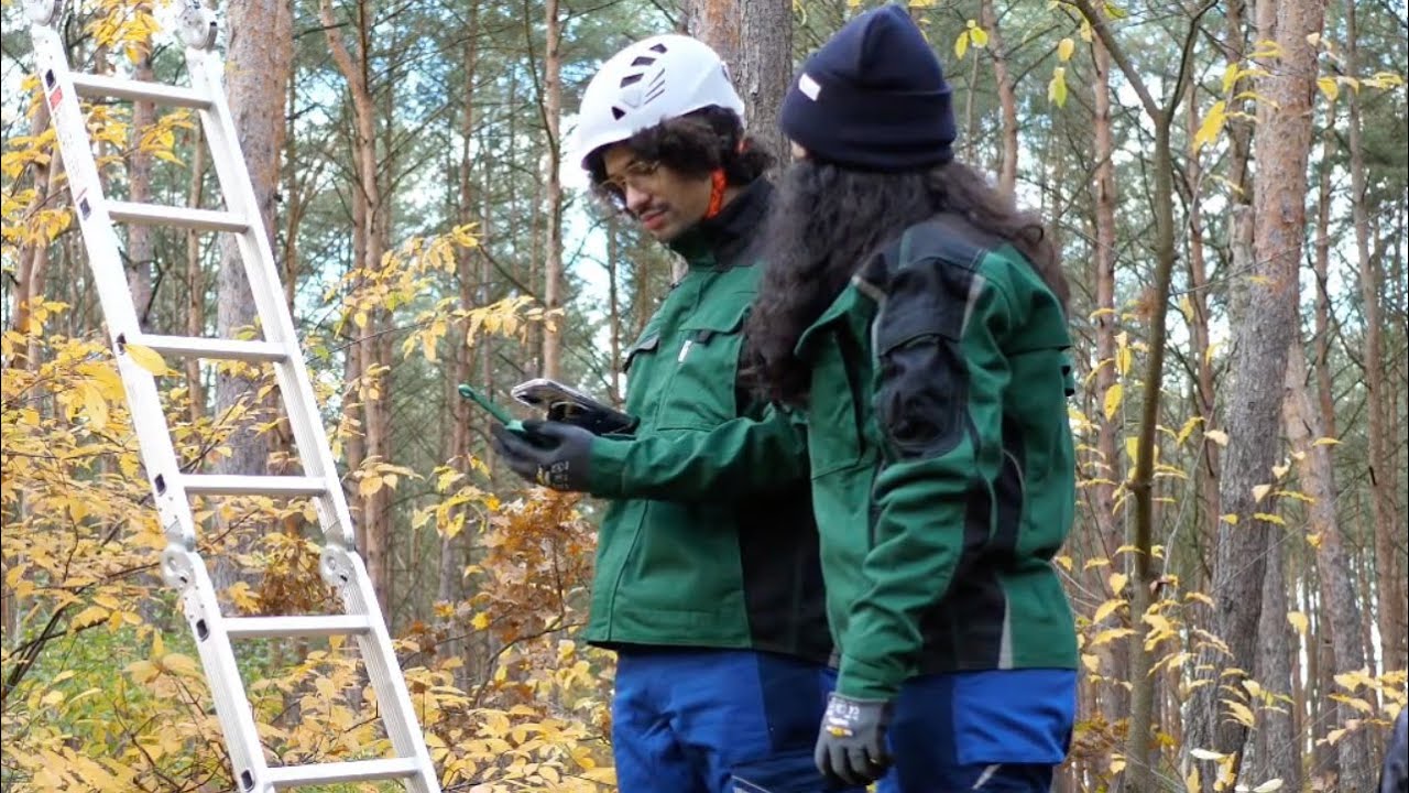 Dryad Silvanet Suite Tutorial