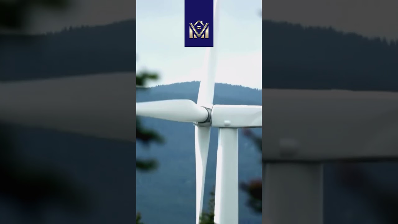 Montenegro Lights the Way 💡✨