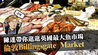 逛逛英國最大型海鮮市場 Billingsgate Market 另外陳迷同大家拜個年