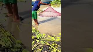 Amazing technique for fishing