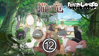 猫と竜 同時視聴
