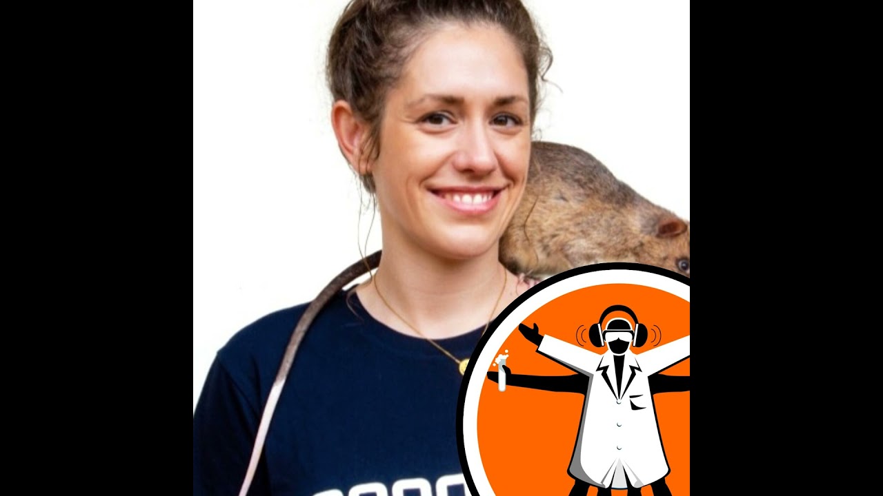 Search and rescue rats