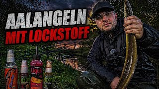 Aalangeln mit Lockstoff, bringt das mehr AALE? Aalangeln 2026 l 28.Tag der 30 Tage Angel-Challenge