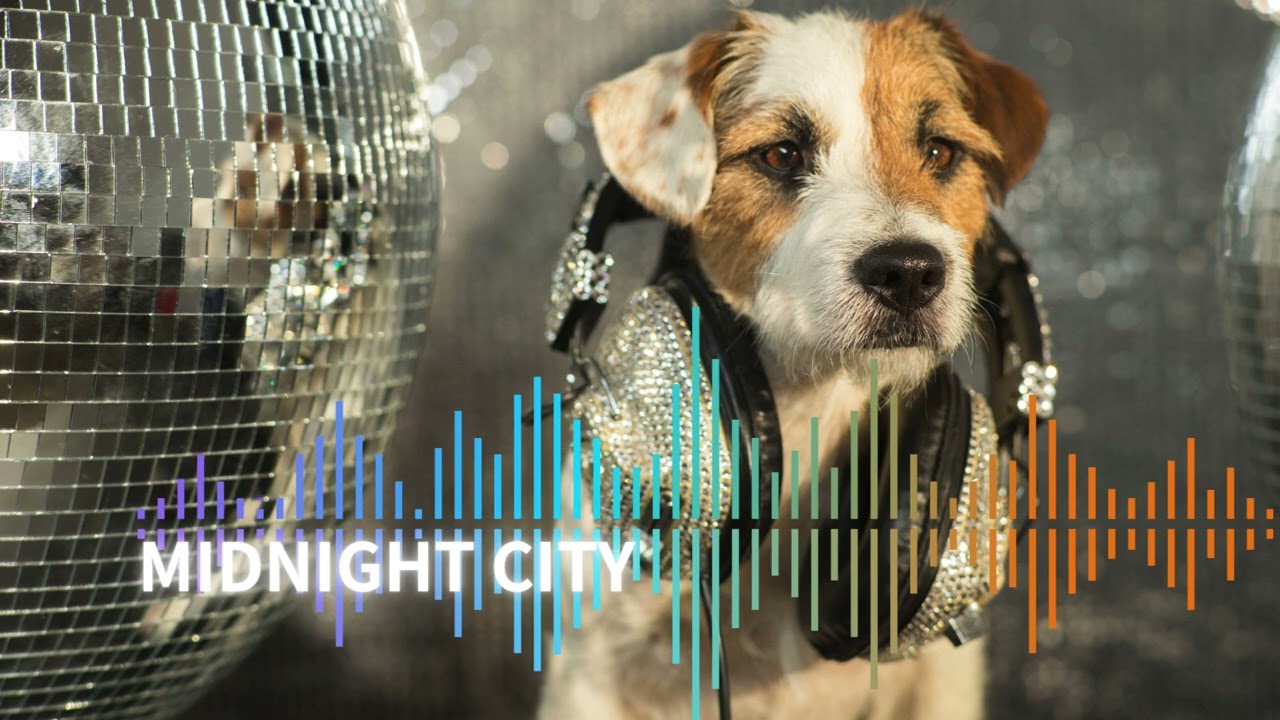 Dark & Catchy Trap 2025 | Midnight Vibes (808 Bass)