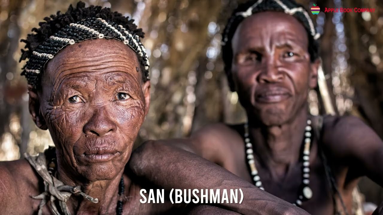 THE TEMPERATE REGION | CLASS 5 | CHAPTER 8